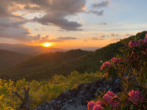 Meet your Posher, Trey